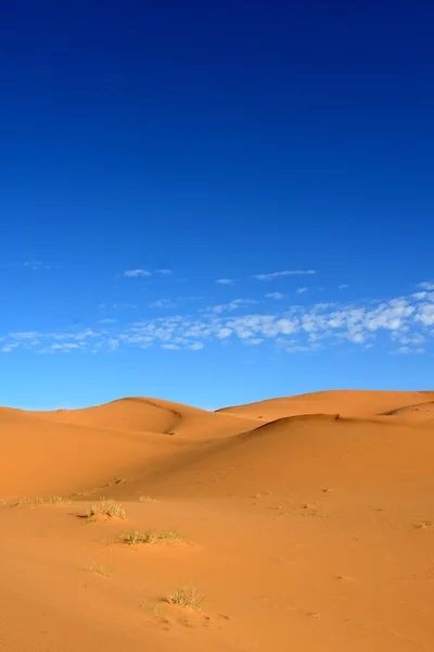 Deserto — Fotografia de Stock