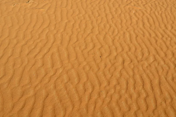 Contexte du désert — Photo