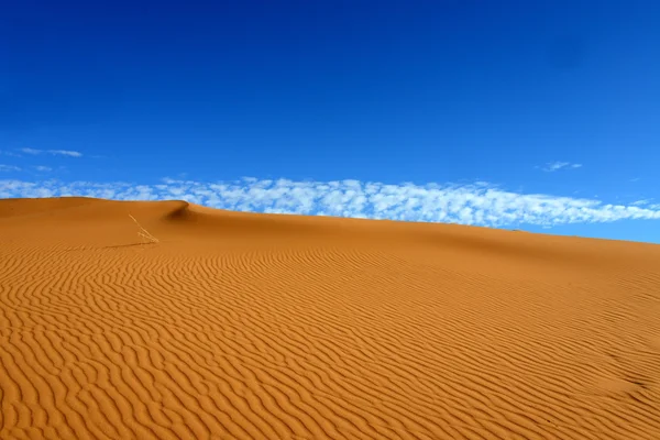 Woestijn — Stockfoto