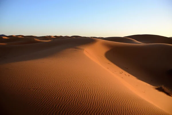 Desert — Stock Photo, Image