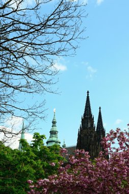 St. Vit Katedrali Prag Kalesi'nin alanında