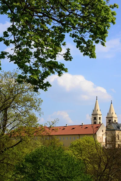 St. Vit cathedral in area of Prague castle — Stock Photo, Image