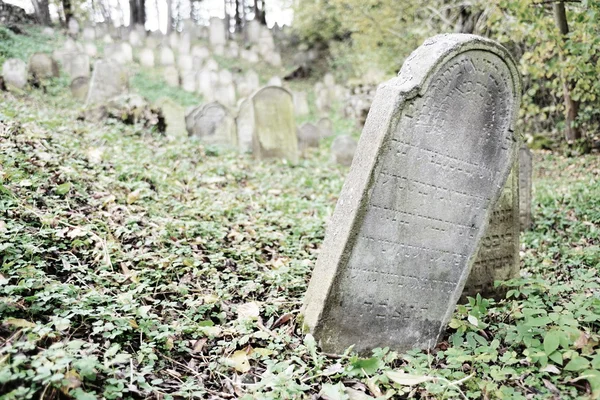 Cimetière juif — Photo