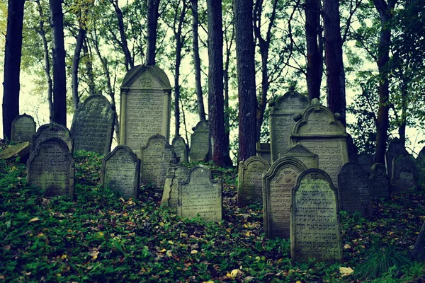 Yahudi Mezarlığı — Stok fotoğraf