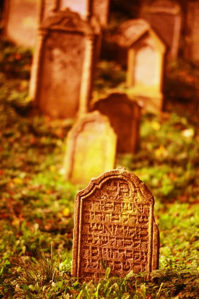 Jewish cemetry — Stock fotografie