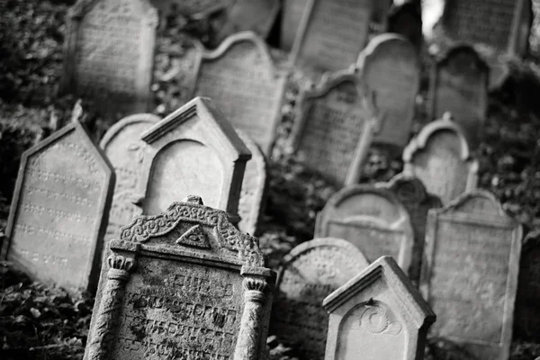 Jewish cemetry — Stock fotografie