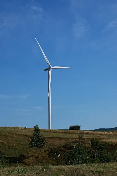 Electric windmill — Stock Photo, Image