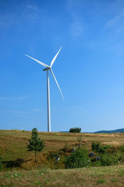 Electric windmill — Stock Photo, Image