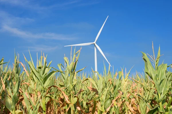 Moinho de vento elétrico — Fotografia de Stock