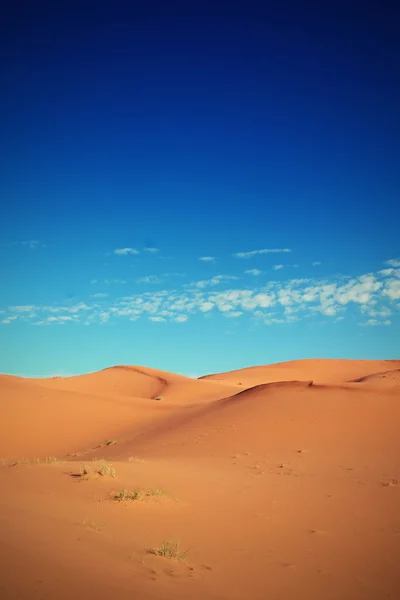 Deserto — Foto Stock