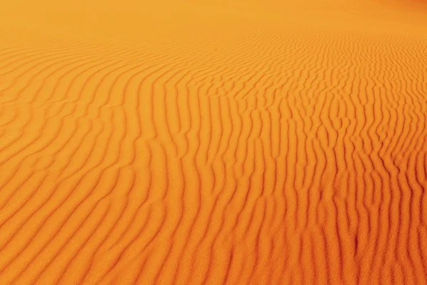 Desert background — Stock Photo, Image