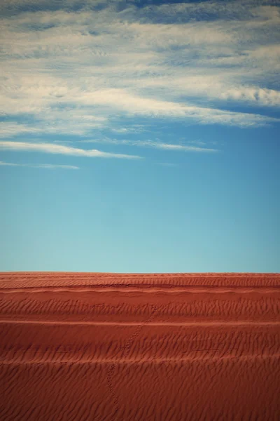 Deserto — Fotografia de Stock