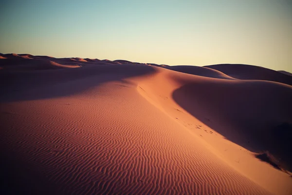 Desierto — Foto de Stock