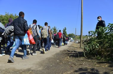 refugees in Babska (Serbian - Croatina border) clipart