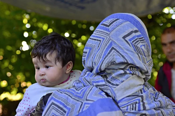 Refugees in Bapska (Serbian - Croatina border) — ストック写真