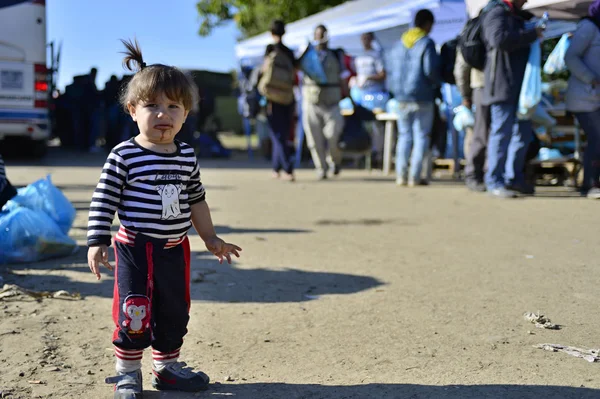 Refugiados em Babska (fronteira sérvia-croatina ) — Fotografia de Stock