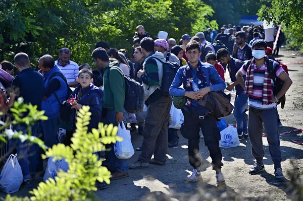 Vluchtelingen in Babska (Servisch - Bonarda grens) — Stockfoto