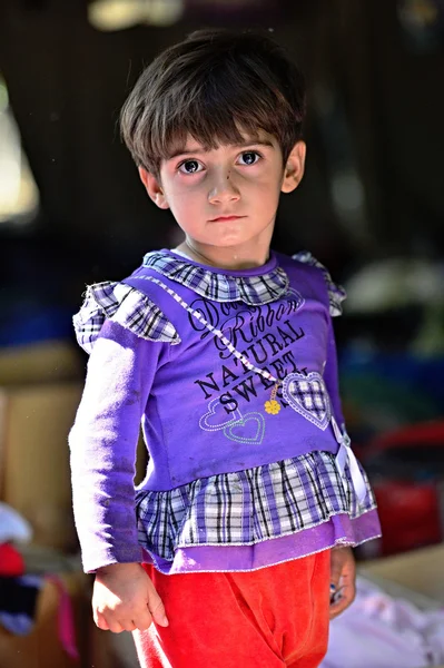 Refugees in Babska (Serbian - Croatina border) — Stock Photo, Image