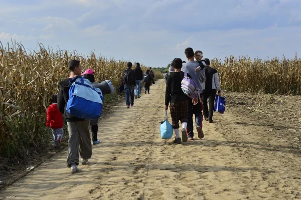 Flüchtlinge in sid (serbisch-kroatische Grenze)) — Stockfoto