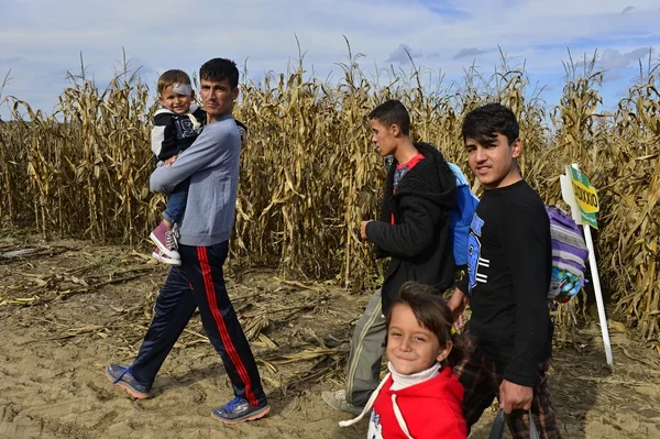 在希德的难民 (塞尔维亚人-克罗地亚边界) — 图库照片