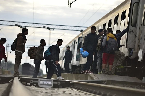 Refugiados em Tovarnik (fronteira sérvia-croatina ) — Fotografia de Stock