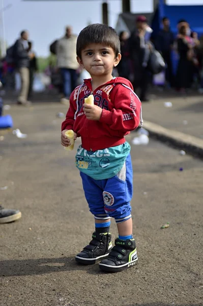 Flyktingar lämnar Ungern — Stockfoto