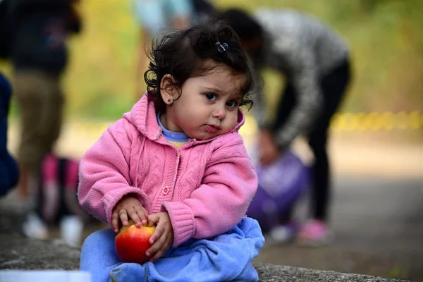 Flüchtlinge verlassen Ungarn — Stockfoto