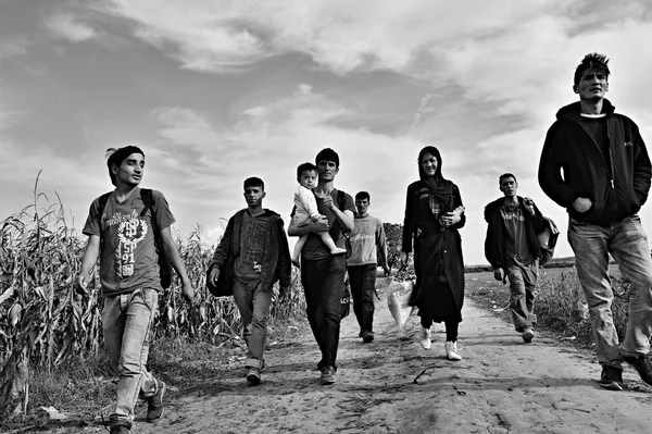 Беженцы в Сиде (сербско-хорватская граница) ) — стоковое фото