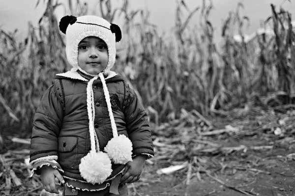 Refugees in Babska (Serbian - Croatina border) — Stock Photo, Image