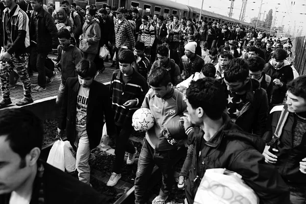 Πρόσφυγες, αφήνοντας την Ουγγαρία — Φωτογραφία Αρχείου