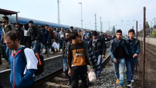 Grupo de refugiados que abandonan Hungría — Vídeo de stock