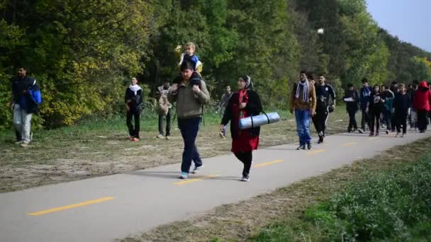 Группа беженцев покидает Венгрию — стоковое видео