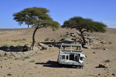 Vintage offroad araba