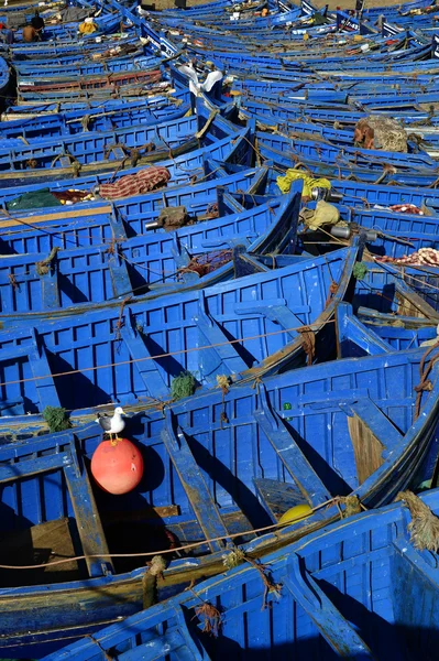 Красивая синяя лодка — стоковое фото