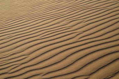 Fas 'ta Sahra Çölü