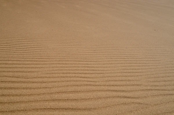 Sahara woestijn in Marokko — Stockfoto