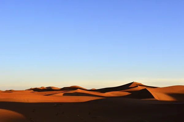 Deserto do Saara em Marrocos — Fotografia de Stock