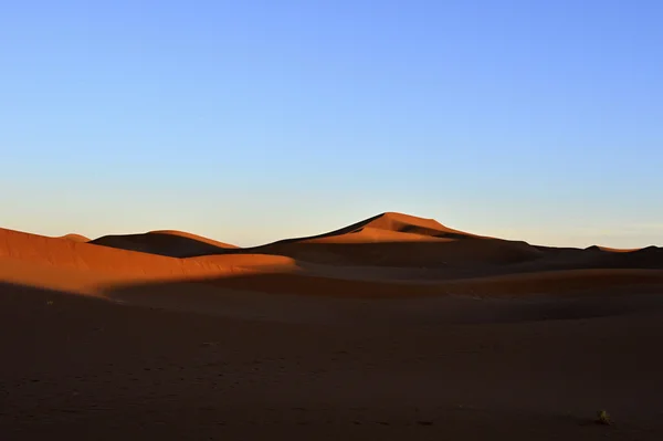 Wüste Sahara in Marokko — Stockfoto