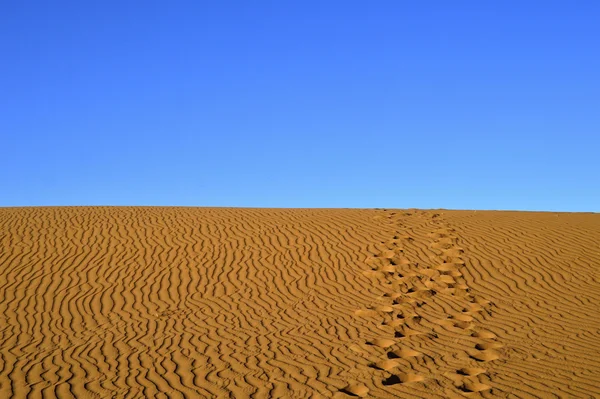 Sahara pustynia w Maroku — Zdjęcie stockowe
