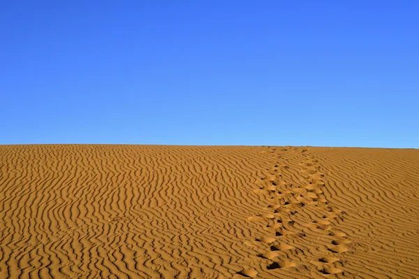 Deserto do Saara em Marrocos — Fotografia de Stock