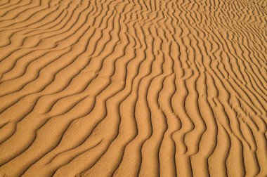 Fas 'ta Sahra Çölü