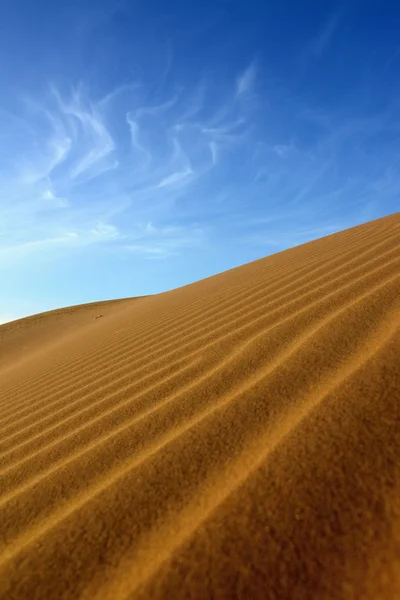 Sahara desert in Morocco — Stock Photo, Image