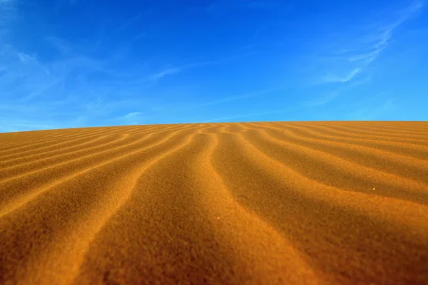 Sahara desert in Morocco — Stock Photo, Image