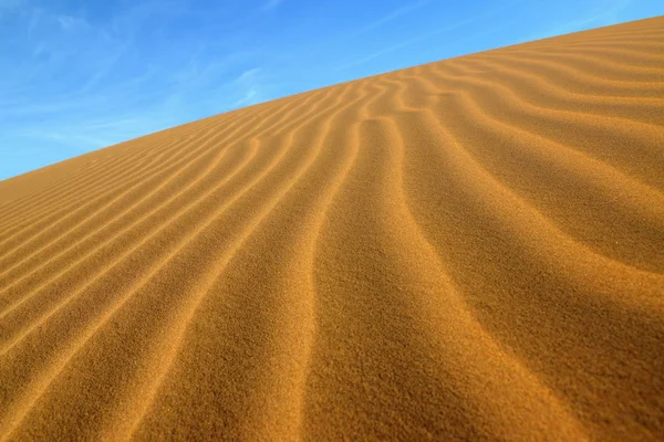 Sahara desert in Morocco — Stock Photo, Image