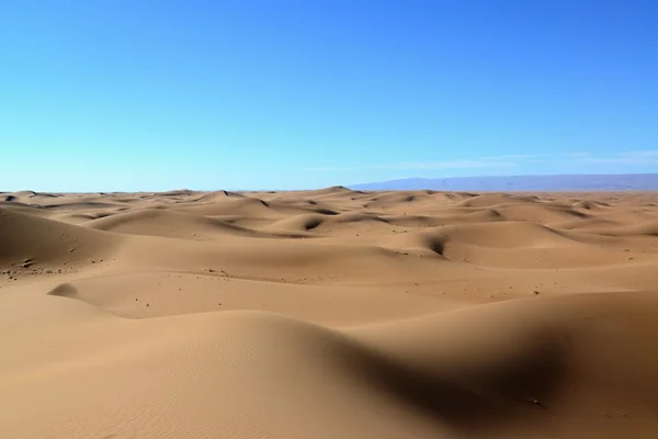 Sahara pustynia w Maroku — Zdjęcie stockowe