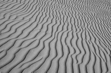 Fas 'ta Sahra Çölü