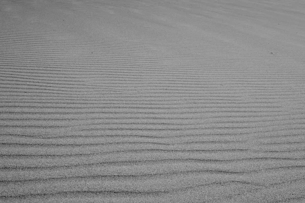 Sahara desert in Morocco — Stock Photo, Image