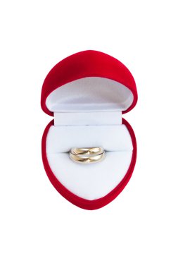 Altın alyans beyaz zemin üzerine kırmızı bir kutu içinde
