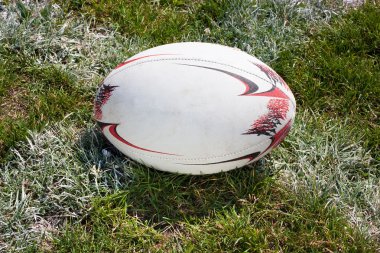 Rugby topu yeşil çim üzerinde yalan