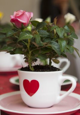 Kırmızı kalp ve pembe Gül beyaz Kupası 